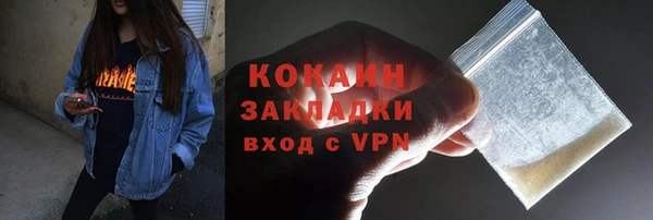 бошки Алексин