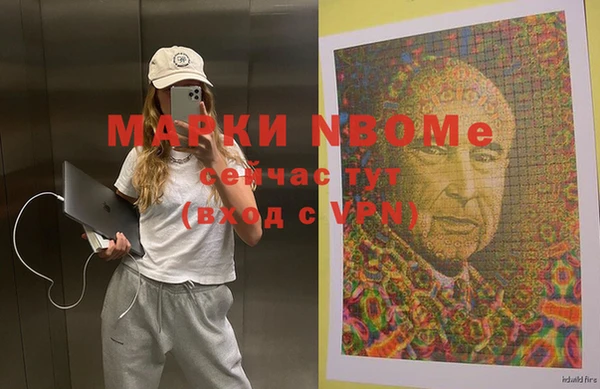 бошки Алексин